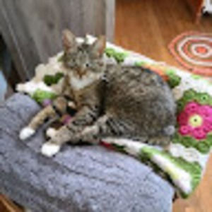 Meet your Posher, Wendy